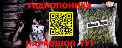 ECSTASY Новозыбков