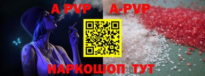 ECSTASY Новозыбков