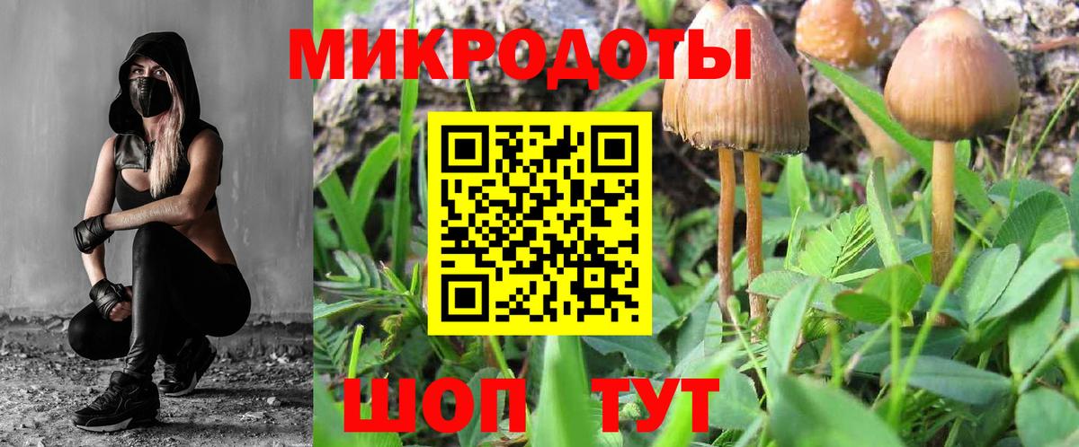 Галлюциногенные грибы Psilocybe  Вход с VPN  Тимашёвск 